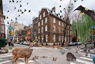 The corner of 18th and Spruce with several animals hanging around, including a deer, eagle, and several smaller mammals.